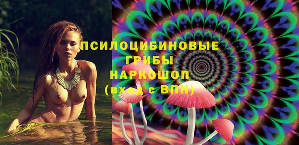 spice Верея